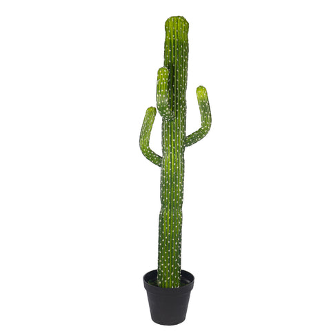 Artificial desert cactus for home decor with vibrant green stems