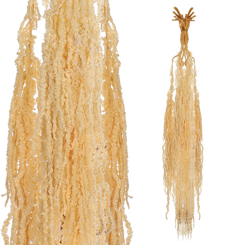 Preserved Dried Hanging Flower