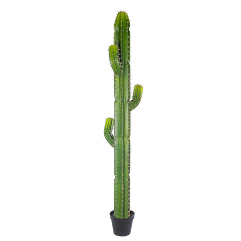 Artificial decorative finger cactus plant for stylish decor