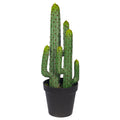 Desert Thorn Ball Cactus Artificial Plant