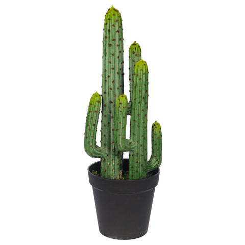 Desert Thorn Ball Cactus Artificial Plant