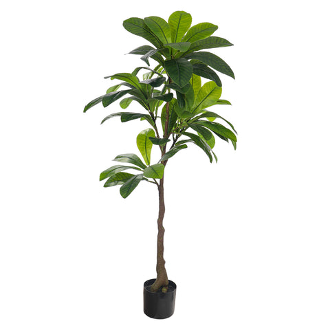 Artificial Loquat Plant 150cm Tall