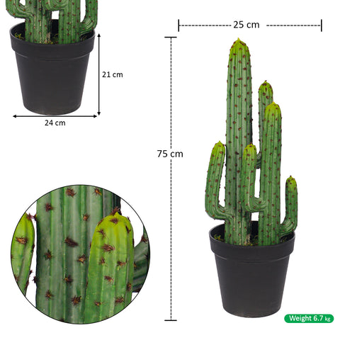 Faux Desert Thorn Cactus