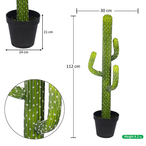 Fake desert cactus plant for stylish interior decoration