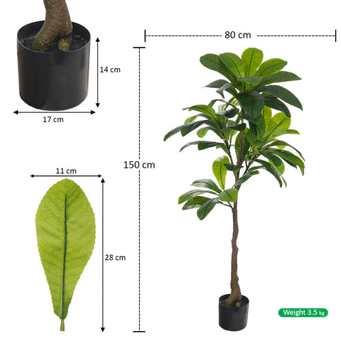 Artificial Loquat Plant 150cm Tall