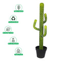 Decorative desert cactus plant for rustic or modern spaces