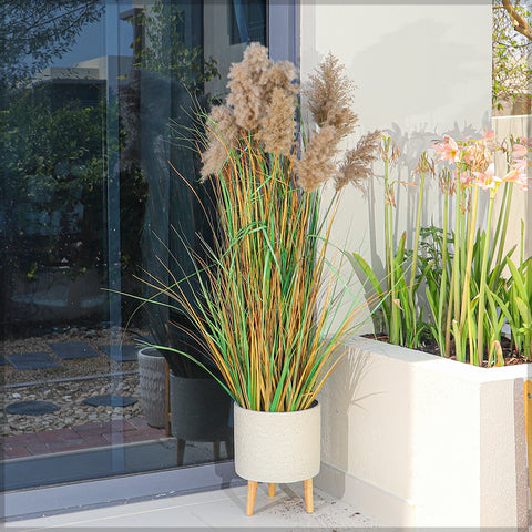 Decorative Artificial Grass Plant with Natural Dried Pampas Flower