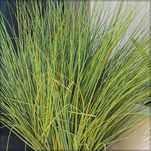 Nearly Natural Grass Plant in Plastic Pot