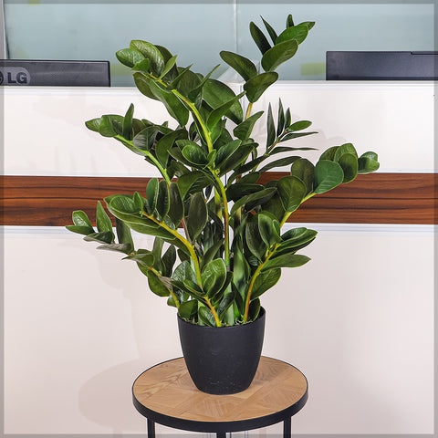 Realistic Nearly Natural money plant for home decor