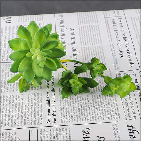 Succulent branch for floral crafts