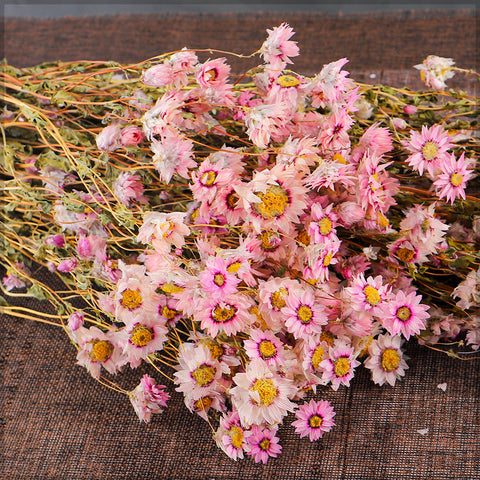 Dried Daisy Flower Bouquet