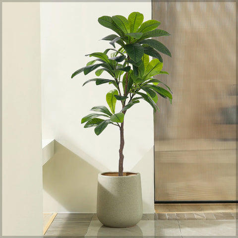 Artificial Loquat Plant 150cm Tall