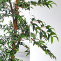 Artificial ficus tree for home and office spaces