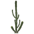 Big artificial cactus for contemporary homes