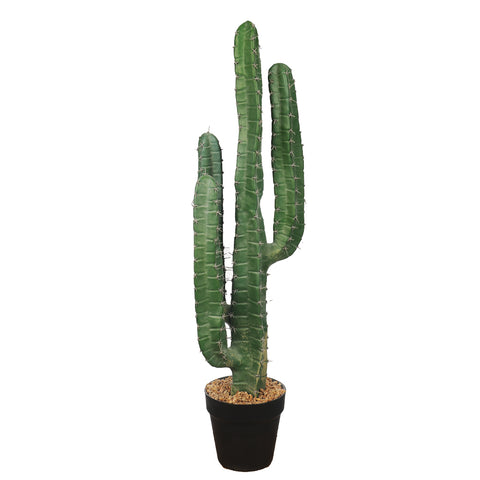 Realistic potted candelabra cactus