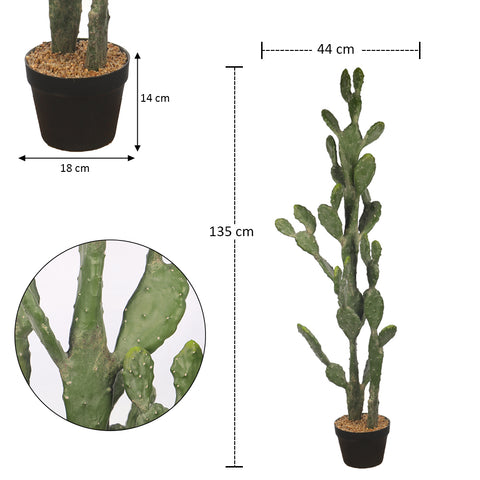 Potted Prickly Pear Cactus Plant