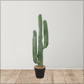 Decorative potted candelabra cactus