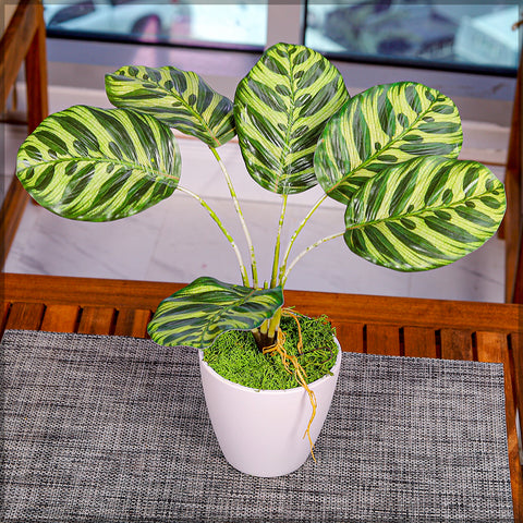 2pcs artificial marantaceae leaves for stylish home accents