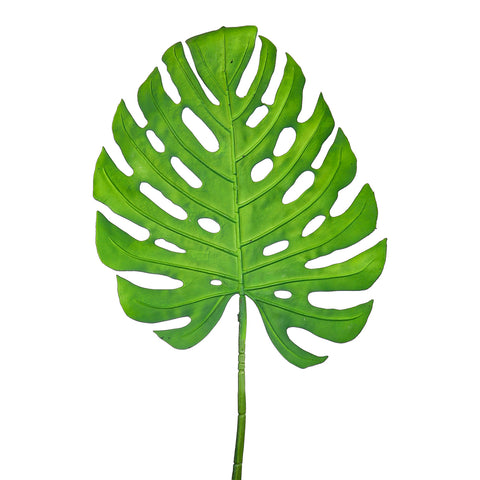 Remarkable monstera leaf decor