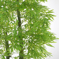 Fake bamboo plants enhancing the decor of an office space