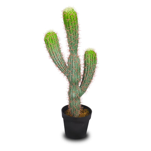 Desert Style Artificial Cactus