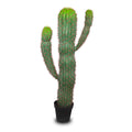 Artificial Desert Cactus Plants for Decor