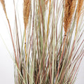 Extra Large Pampas Grass for Indoor and Outdoor Use