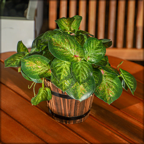 Artificial indoor greenery with syngonium leaves for freshness