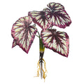 Artificial caladium bush for vibrant home decor