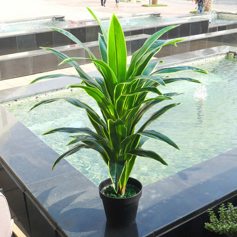 90CM Artificial Dracaena Massangeana Plant