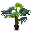 Low maintenance decorative palm trees for beautiful interior design