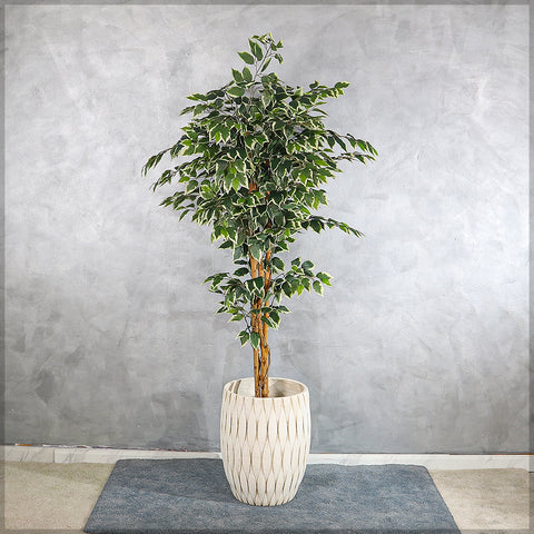 European concrete planter for home décor