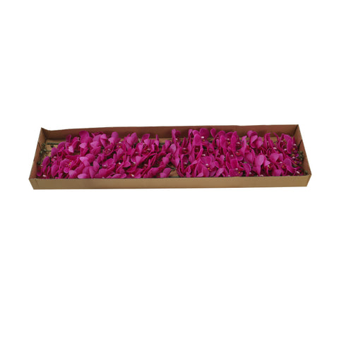 Artificial Real Touch Orchid Flowers-MST-556