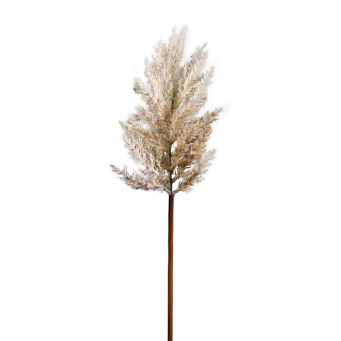 Artificial Dried Astilbe