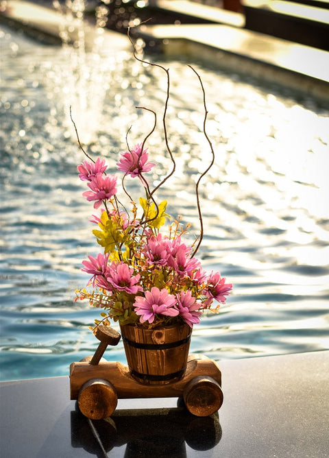 Creative Bicycle Shaped Wooden Pots