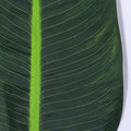 Decorative banana leaf plant