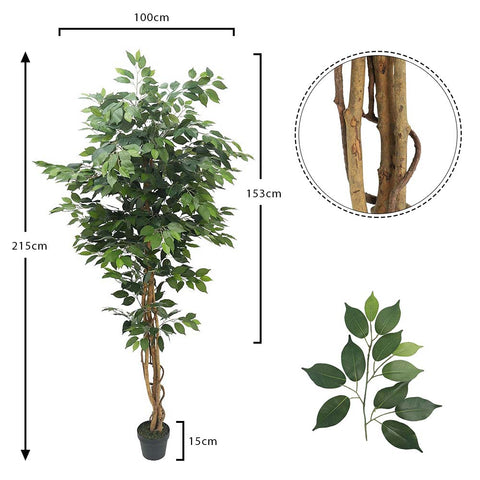 Artificial Ficus Plant 2.1 Meters High