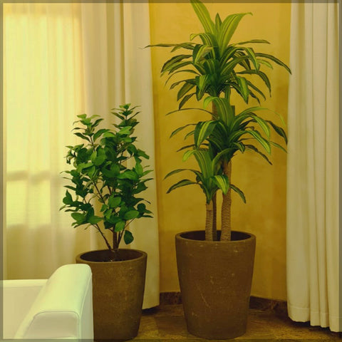 Office Artificial Plants Arrangement and Decoration