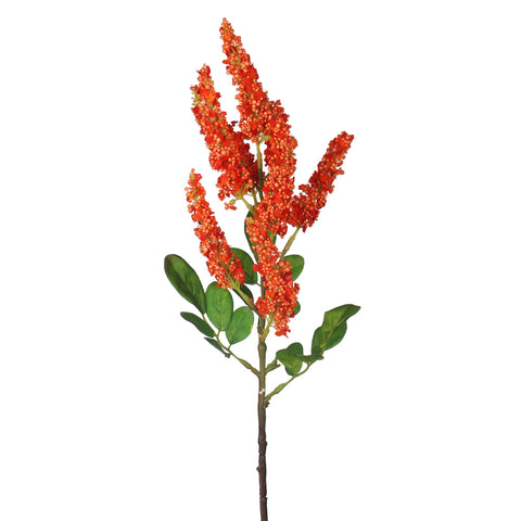 Amaranthus Flower Stem