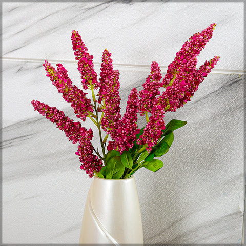 Amaranthus Flower Stem