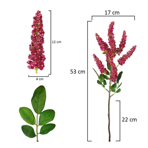 Amaranthus Flower Stem