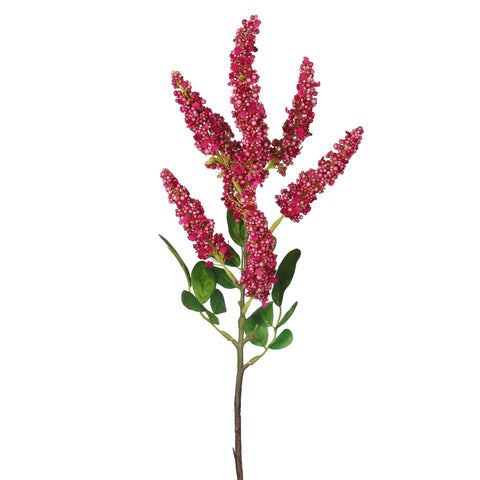 Amaranthus Flower Stem