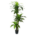 Realistic Fake Dracaena Massangeana for Modern Spaces