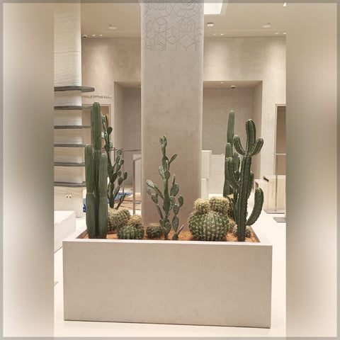 Artificial Cactus Arrangement for Shop Decoration