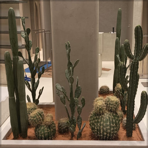 Artificial Cactus Arrangement for Shop Decoration