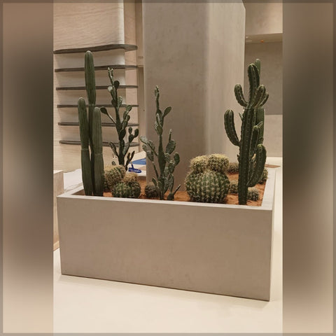 Artificial Cactus Arrangement for Shop Decoration