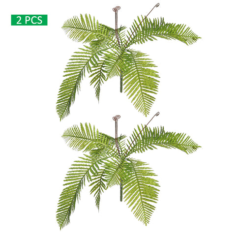 Fern leaves bunch for floral arrangements