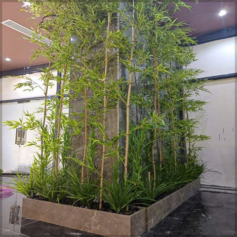 Bamboo Plant Decoration