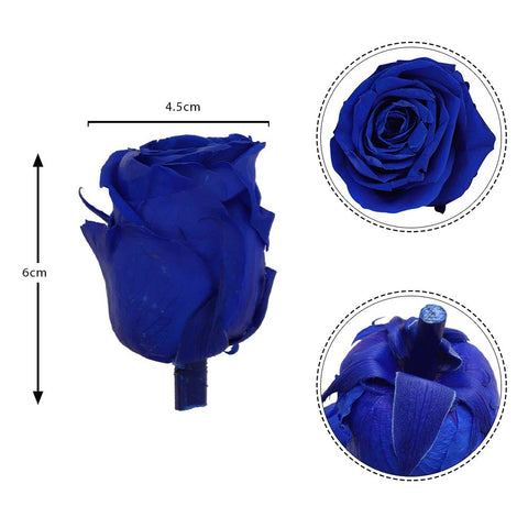 6CM Preserved Rose Flower