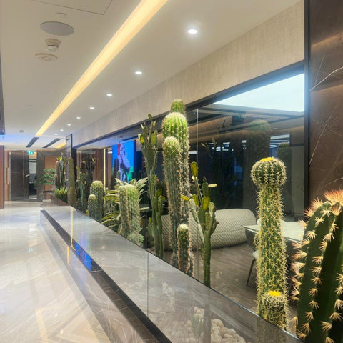 21pcs Corridor Cactus Plant Arrangement